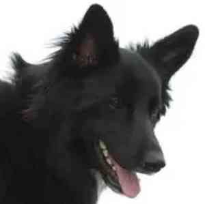 Meet your Posher, Jim